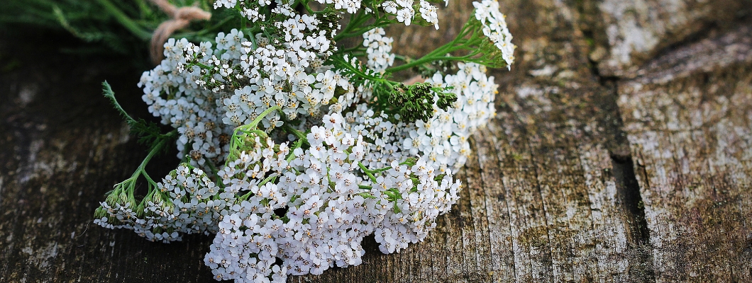 Rebríček na hemoroidy - Účinné prírodné riešenie