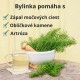 Stonka Prasličky - 3x70g