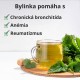 Pŕhľava - 3x40g