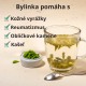 Borovicové tipy - 3x50g