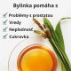 Plantain - 3x70g