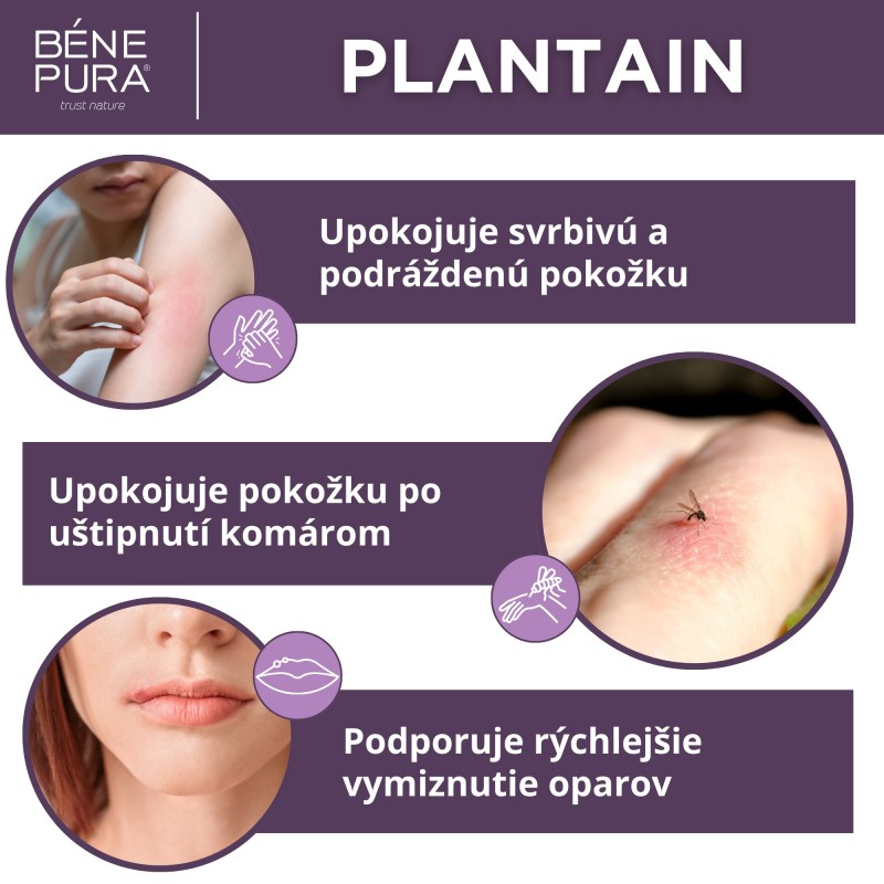 Masť na Svrbenie Pokožky s Plantain - 40ml