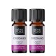 2x Bio Oregano Esenciálny olej - 10ml