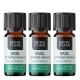 3x Bio Bazalka Esenciálny olej - 5ml