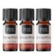 3x Bio Eukalyptus Radiata Esenciálny olej - 5ml