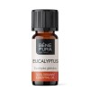 Bio Eukalyptus Globulus Esenciálny olej - 10ml