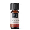 Bio Eukalyptus Radiata Esenciálny olej - 5ml