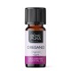 Bio Oregano Esenciálny olej - 10ml