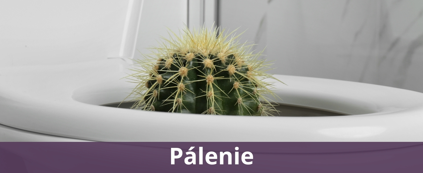 Pálenie