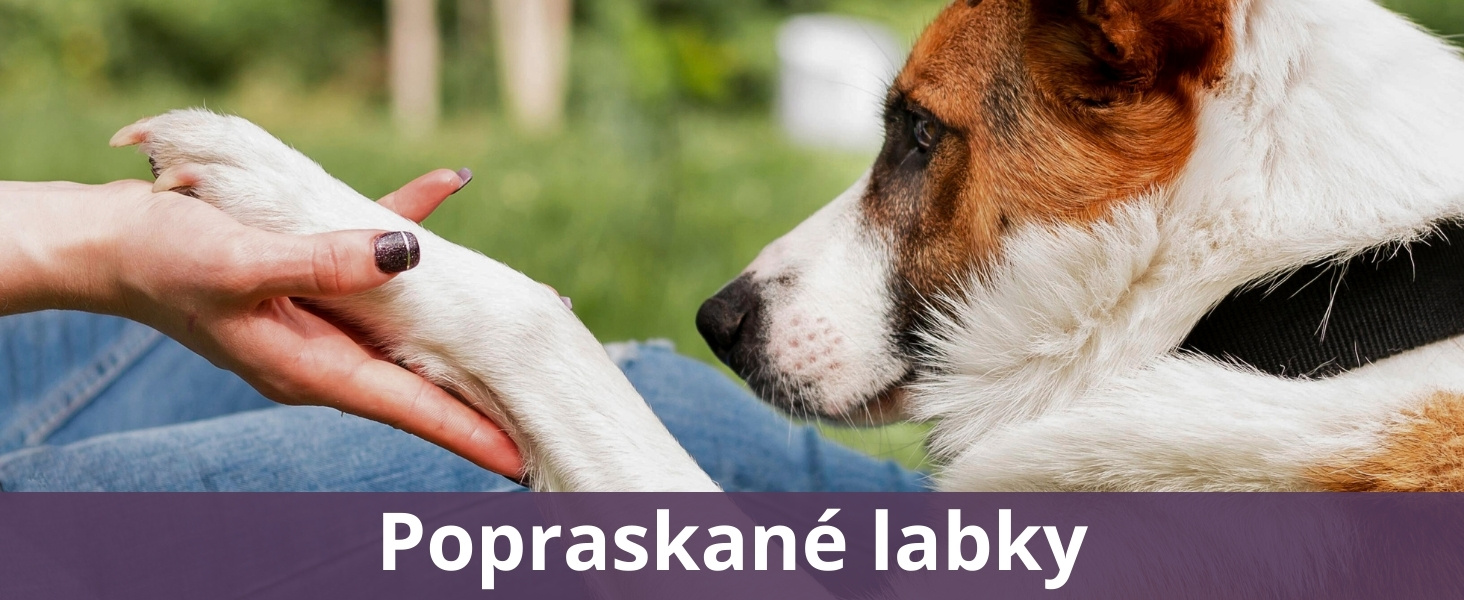 Popraskané labky