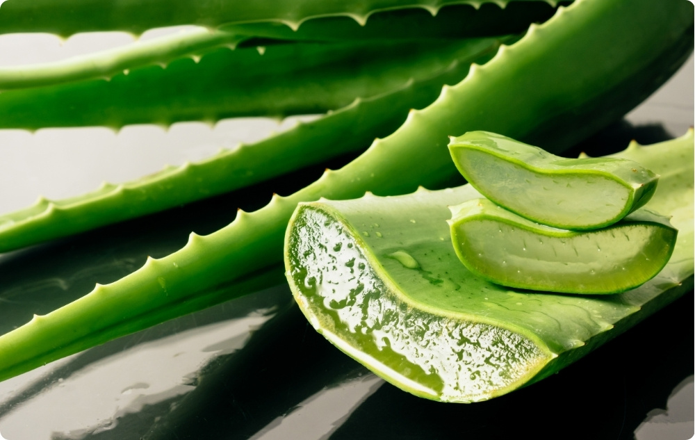 Masť na Popáleniny a Rany s Nechtíkom, Aloe Vera a Lubovníkom Bodkovaným - 40ml